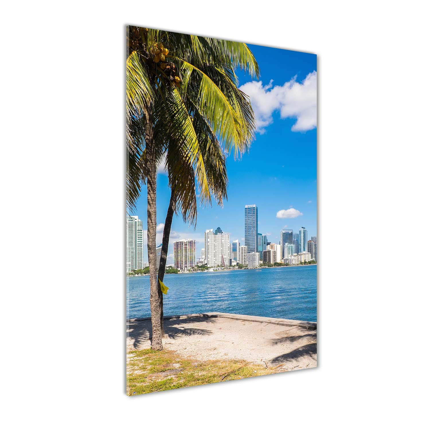 Tulup Impression sur Verre de 50x100 cm Image Tableau Photo décorative panoramique pour la Cuisine et Le Salon - Spectacles et Architecture - Miami - Vert