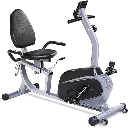 Magnetic Recumbent Exercise Bike Indoor 