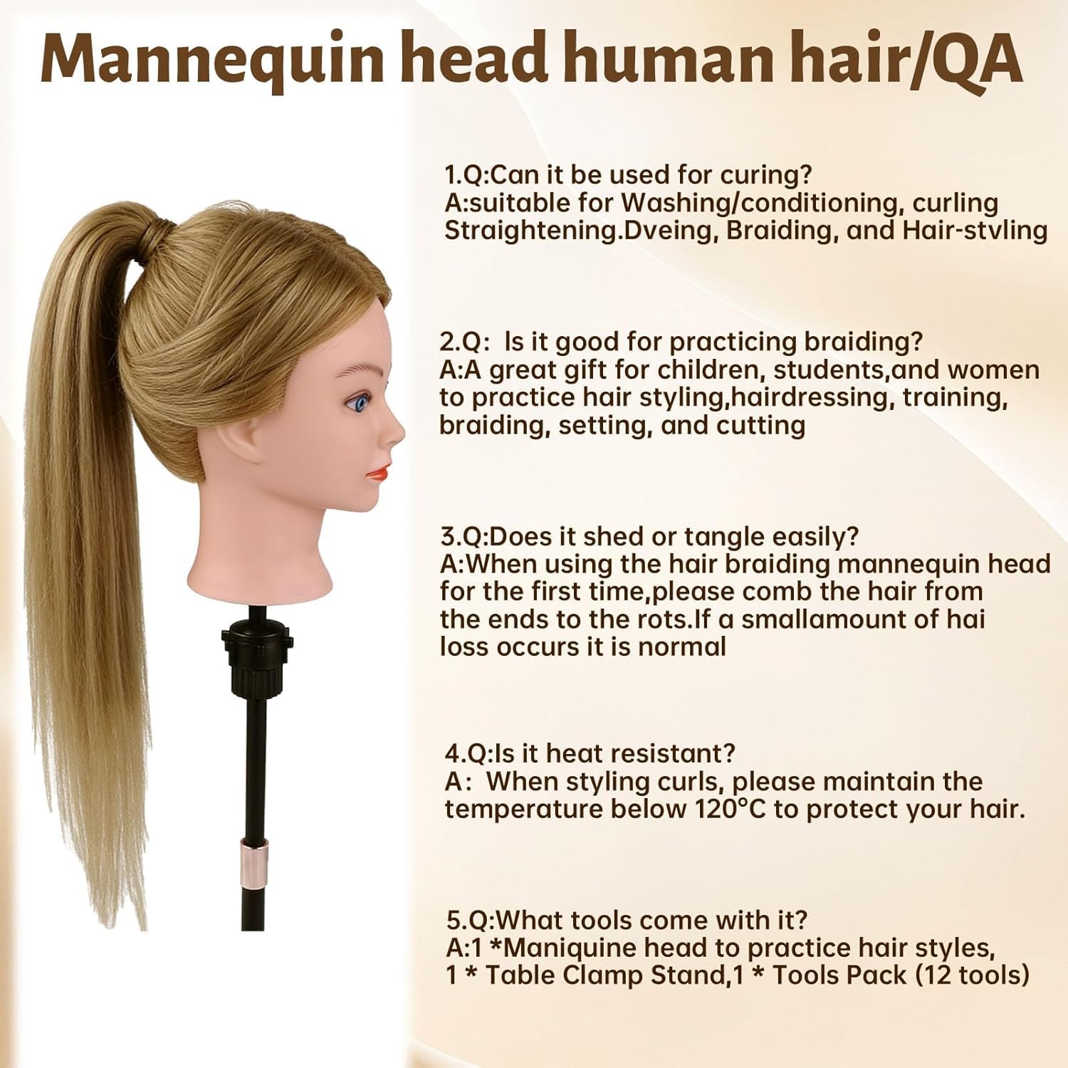 TopDirect Friseur Übungskopf 66 cm, 80% Echthaar-Mix, Haselnussbraun