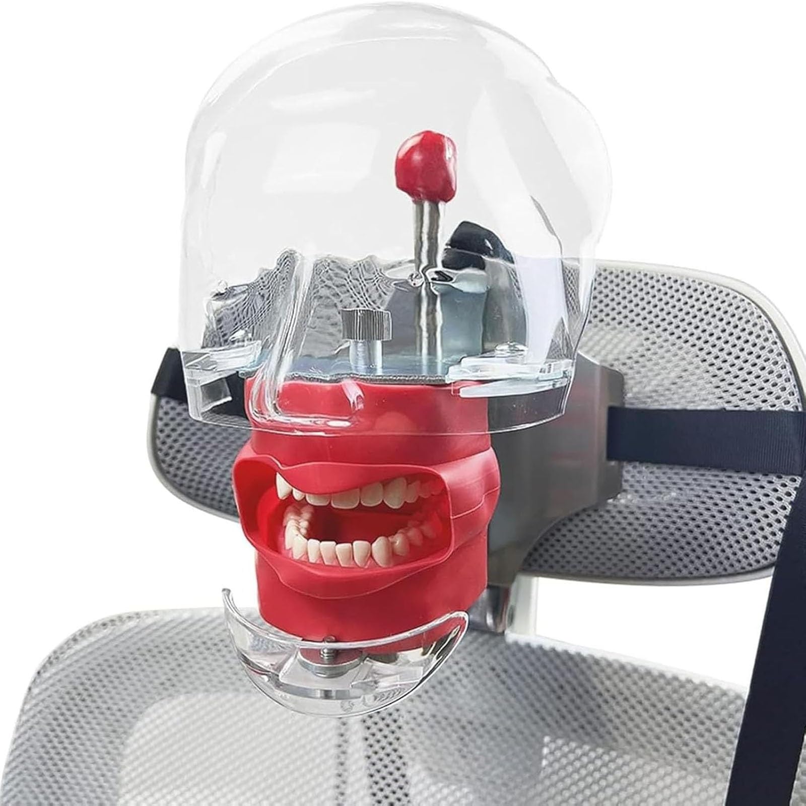 Dental Simulator Manikin Phantomkopf Kunststoff pädagogisches Zahnmodell mit Tischhalterung 32 Zähne 360-Grad-Verstellung
