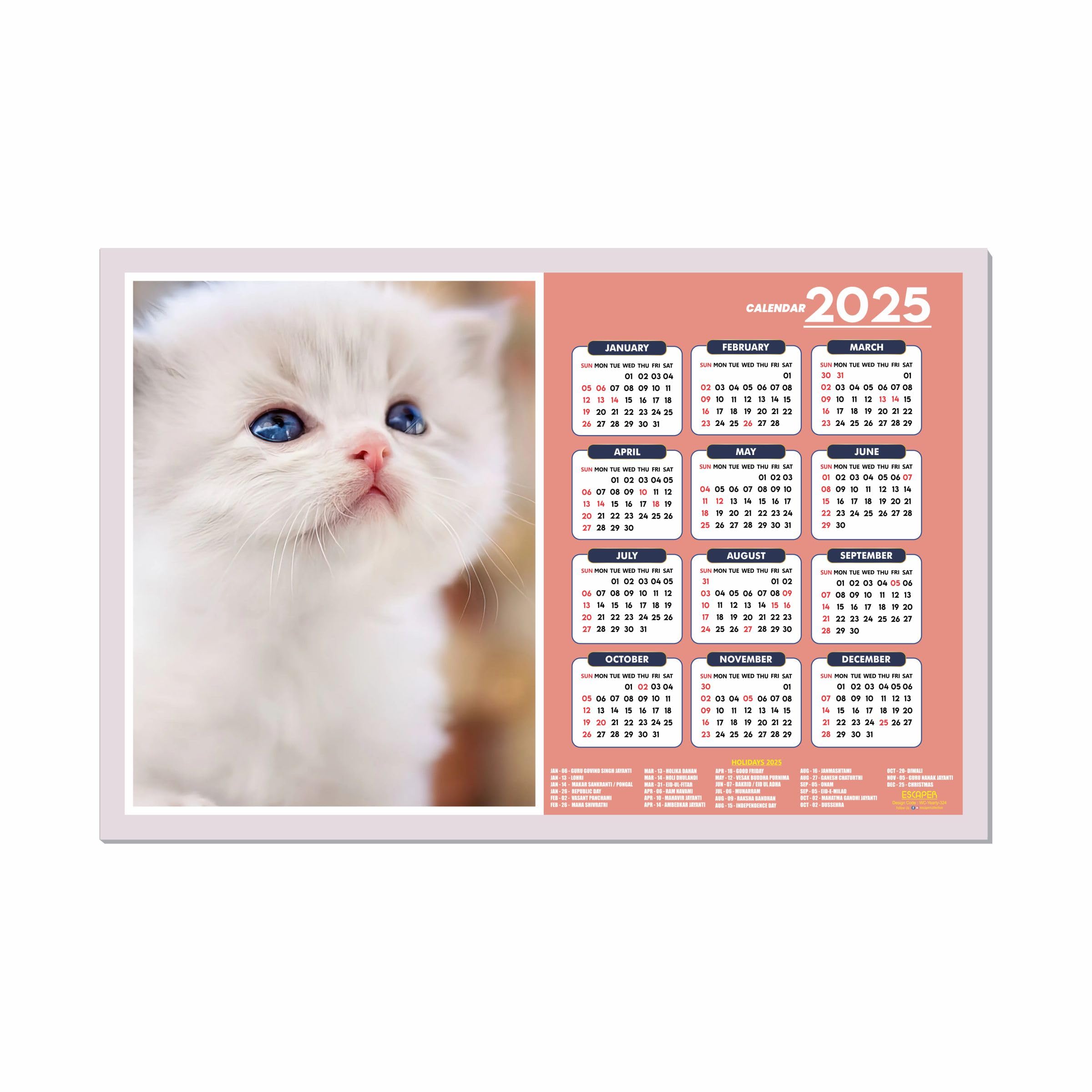 ESCAPER Cats Wall Calendar 2025 hanging (45 x 30 cm), Cat Wall Calendar 2025 Funny, Cat Wall Calendar 2025 for Room Decoration, Pet Animals Wall Calendar 2025, Wall Calendar 2025
