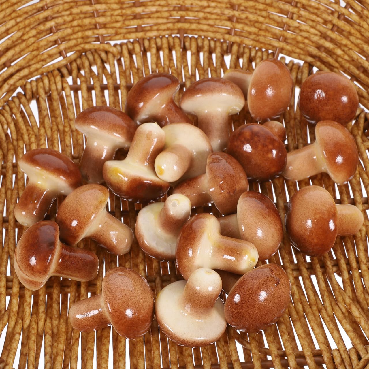 GLEAVI Modèles De Champignons Simulés Miniatures 20 Pièces Décoratifs pour Photo Bureau Et Enseignement Accessoires Multifonctionnels