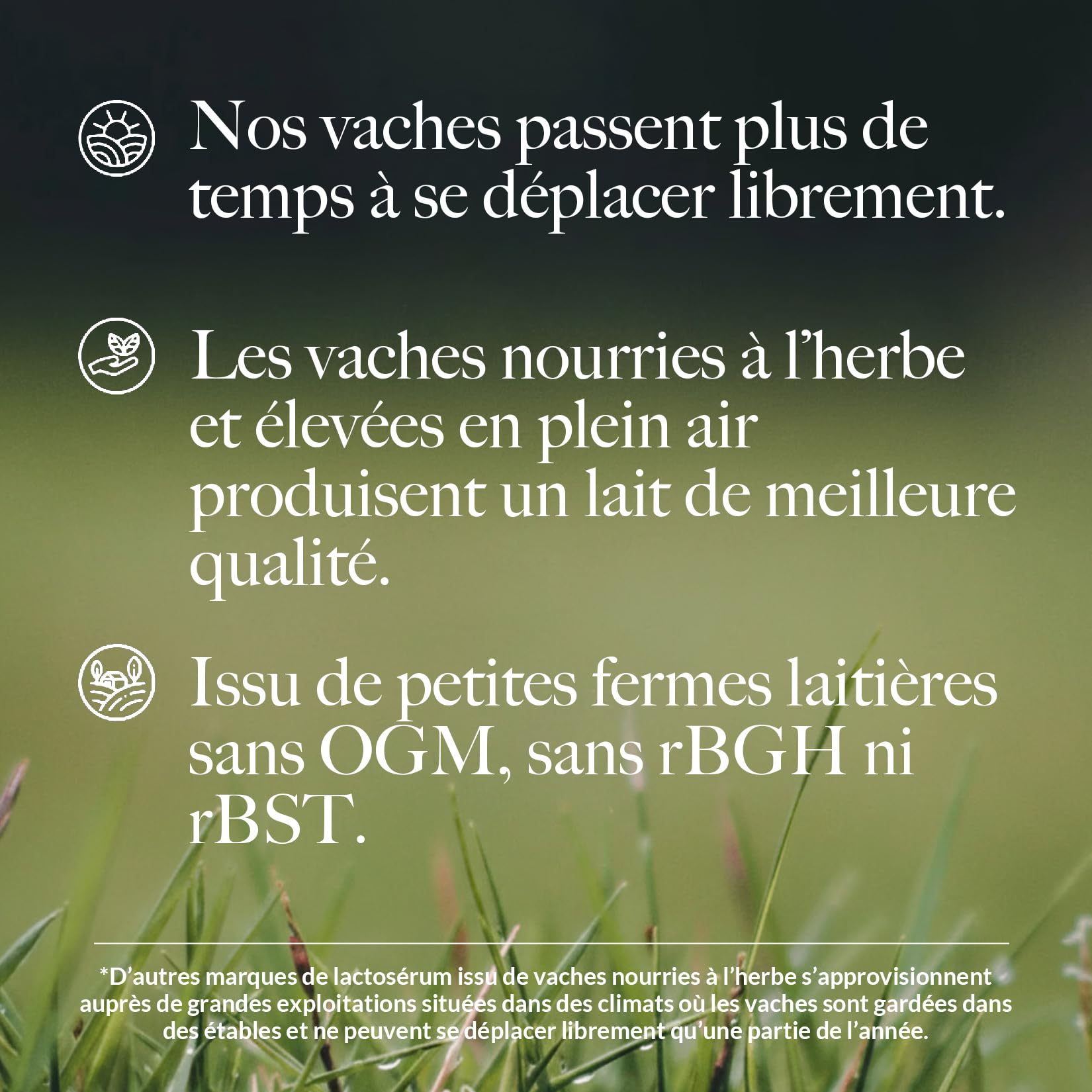 Naked Whey Protein, Seulement 1 ingrédient, Protéine en Poudre, Grass Fed, Sans Gluten, Sans Soja, Sans OGM, 25g de Protéine et 6g de BCAAs par mesure, Sans saveur, 12 Portions, 450g