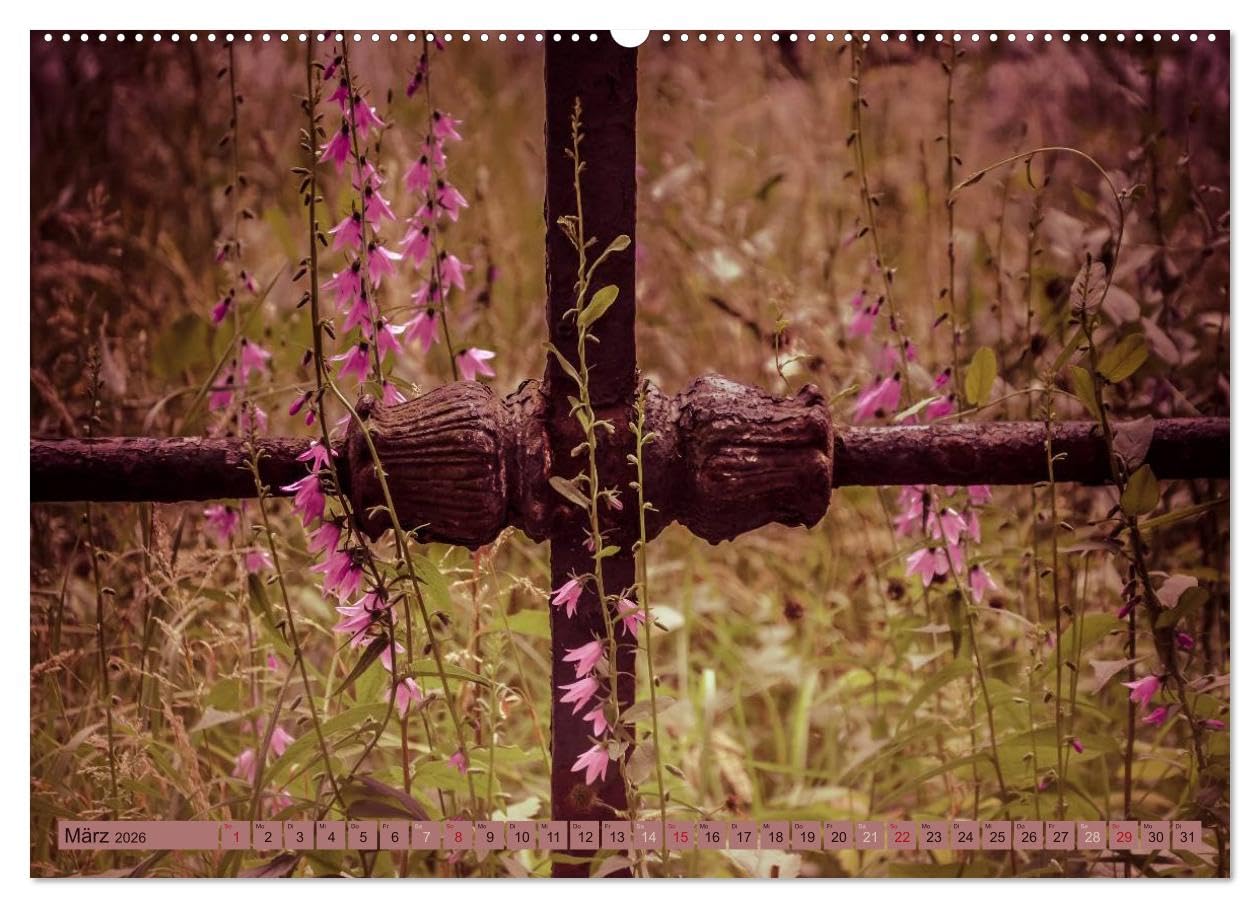 Wildwuchs 2026 (hochwertiger Premium Wandkalender 2026 DIN A2 quer), Kunstdruck in Hochglanz: Wilde Pflanzenschönheiten begleiten durch das ganze Jahr. (CALVENDO Natur)