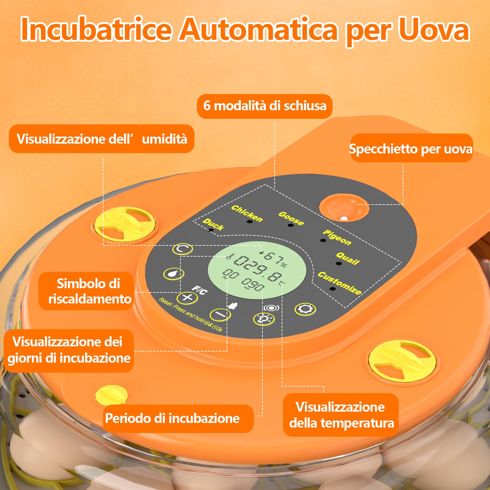 Incubatrice per Uova Automatica, Diealles Shine Incubatrice per Uova 15 con Tornitura Automatica delle Uova e Umidificazione Automatica, Incubators con Controllo della Temperatura