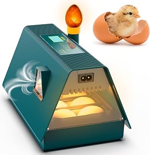 Okkobi M10 Incubator for Hatching Eggs - Ideal for All Ages - Automatic Turner and Humidity Control - Integrated Candler - 10 Eggs - Green & Yellow