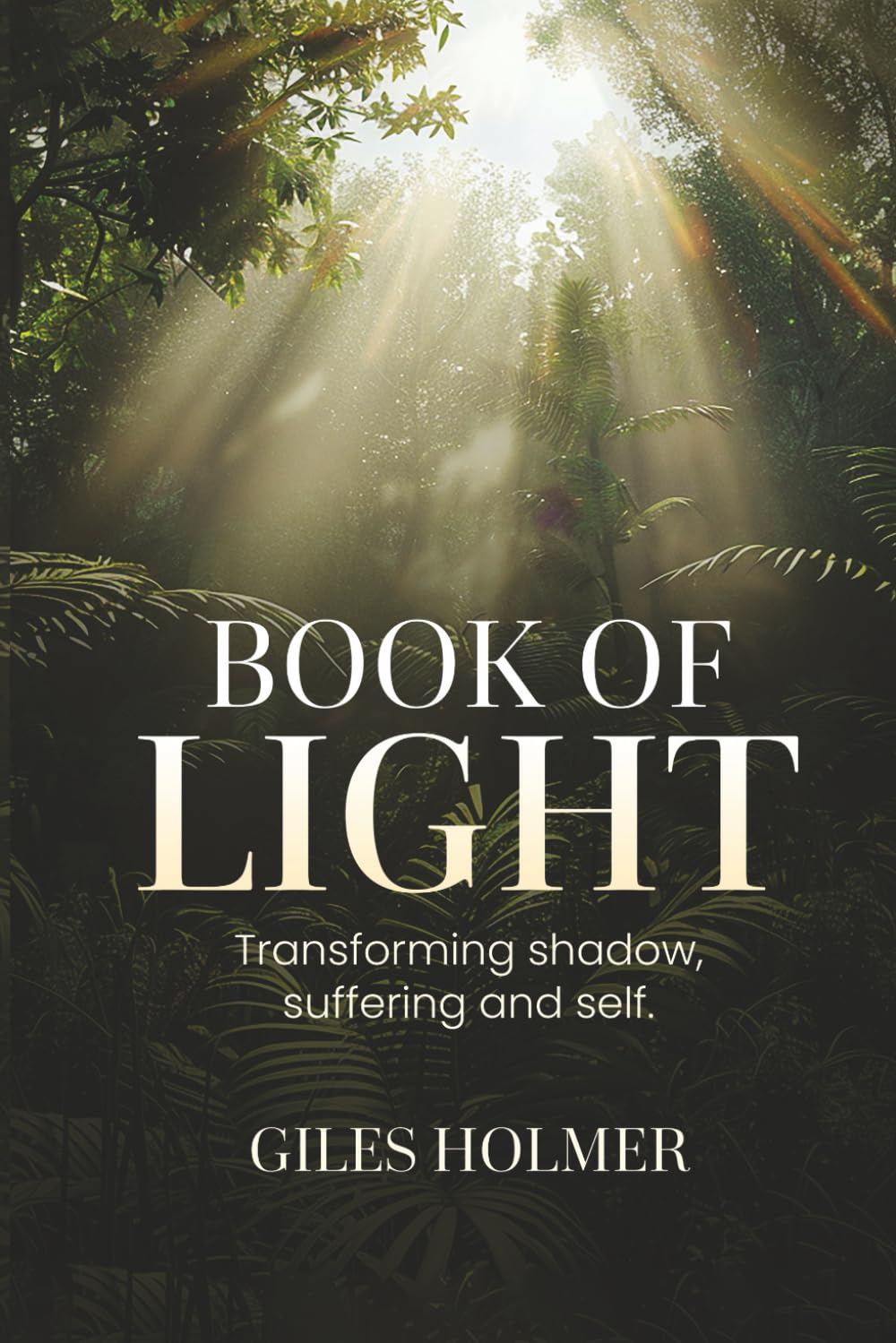 Book of Light: Transforming shadow, suffering and self (The Light and Shadow Series)