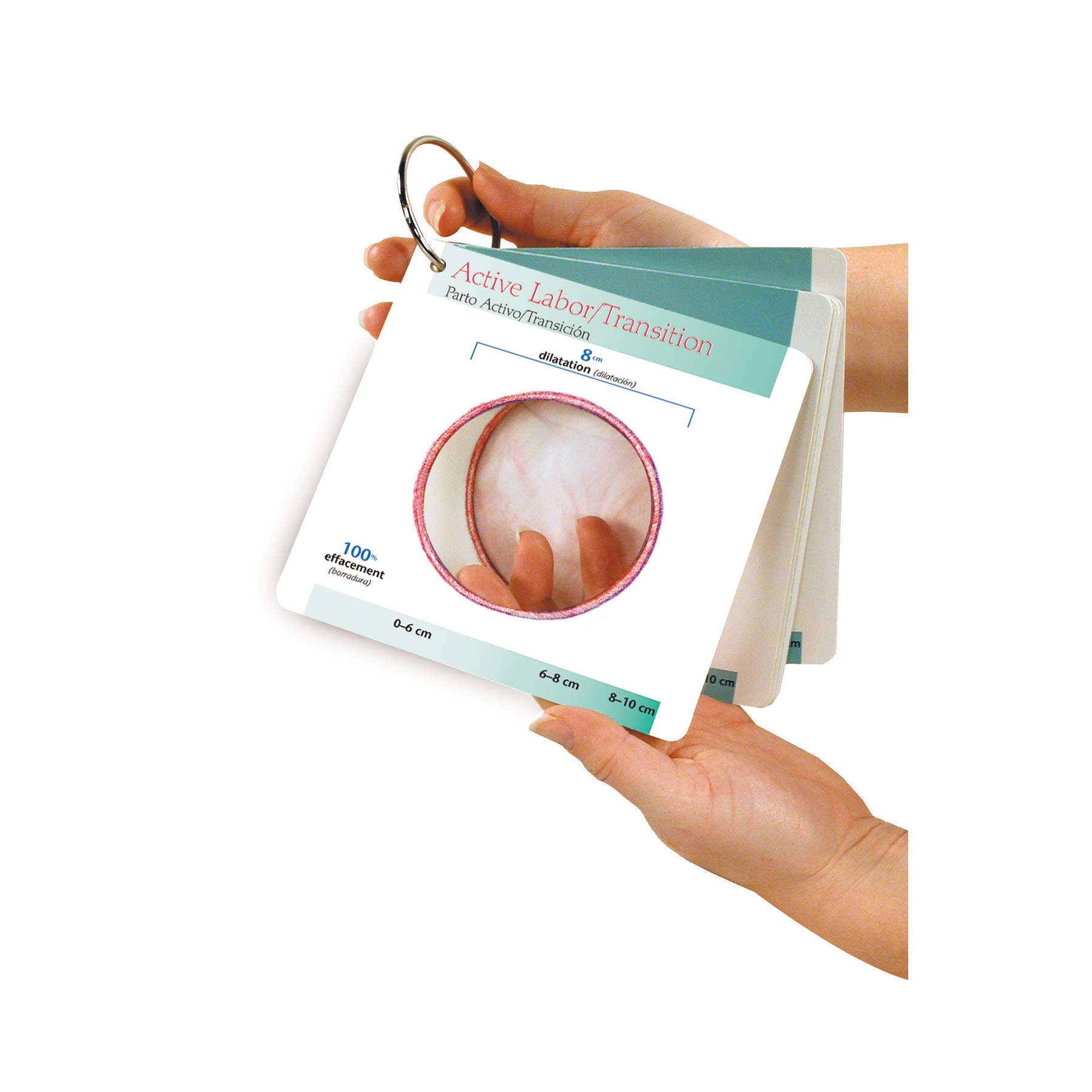 Labor Progress Pocket Guide