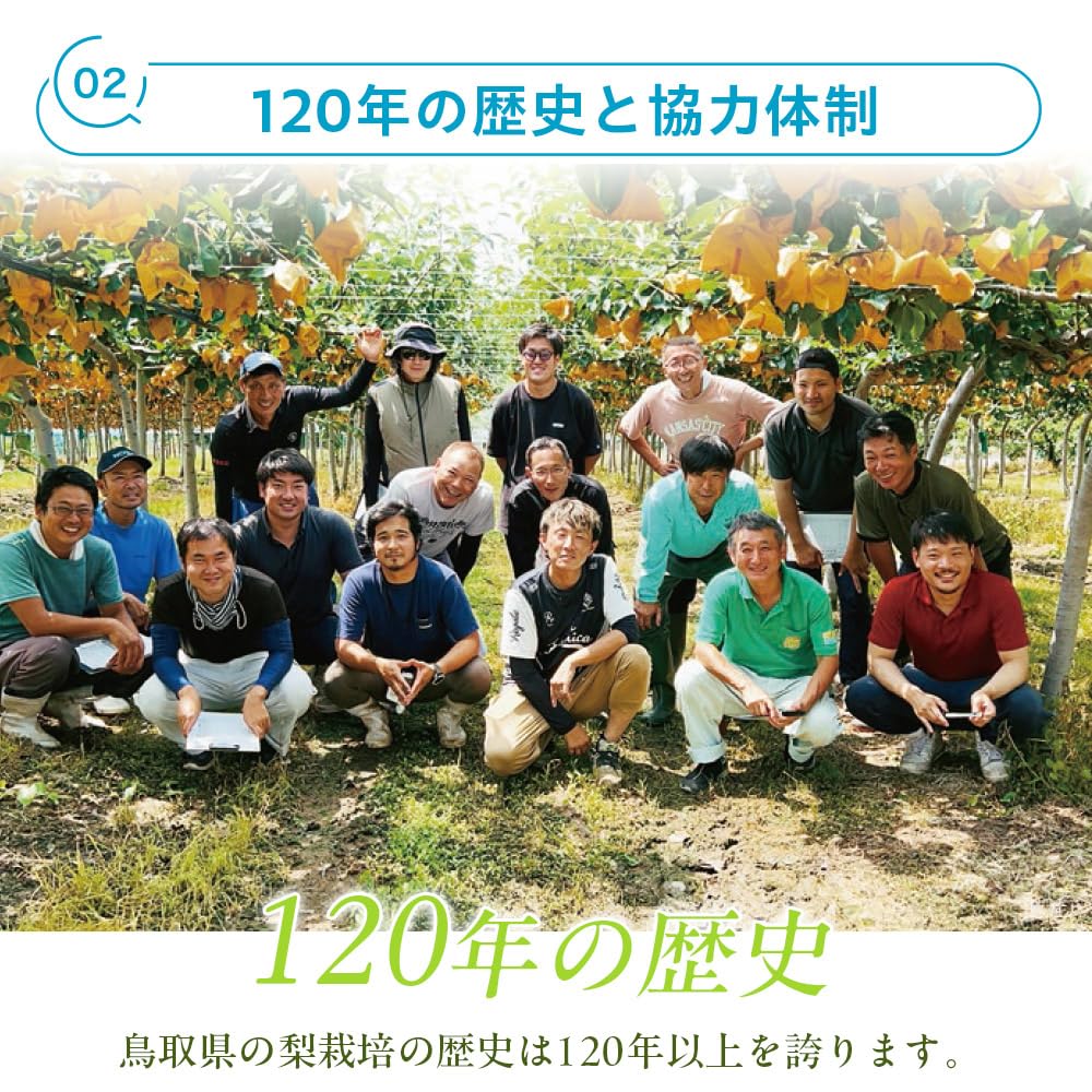 Amazon.co.jp: 風味絶佳.山陰 梨 光センサー糖度13度以上保証 新甘泉