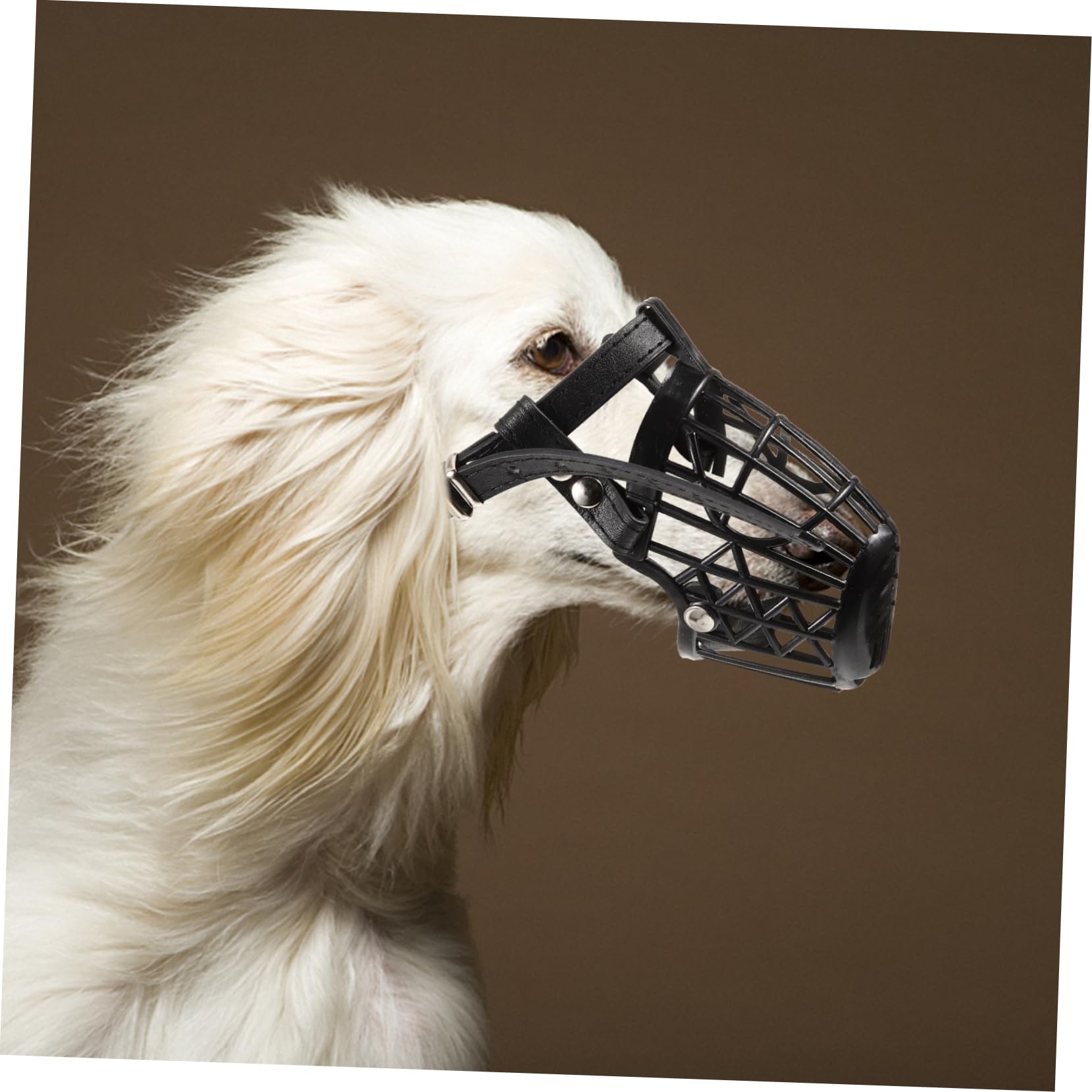 INOOMP Museruola per Cani in Plastica con Cestello Regolabile e Cinturino in Pelle Pu Nero, Set da 7 Unitá Anti-morso Traspirante per Cani e Animali Domestici