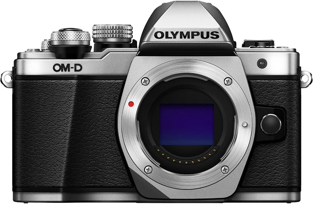 OM SYSTEM OLYMPUS OM-D E-M10 Mark II Mirrorless Camera (Silver) - Body Only
