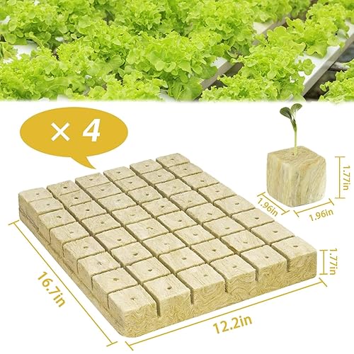 Miniatura 9 de Halatool Cubos de lana de roca de 2 pulgadas para jardín, cubos de cultivo de lana de roca, tapones para cultivo hidropónico, sin suelo, esquejes,