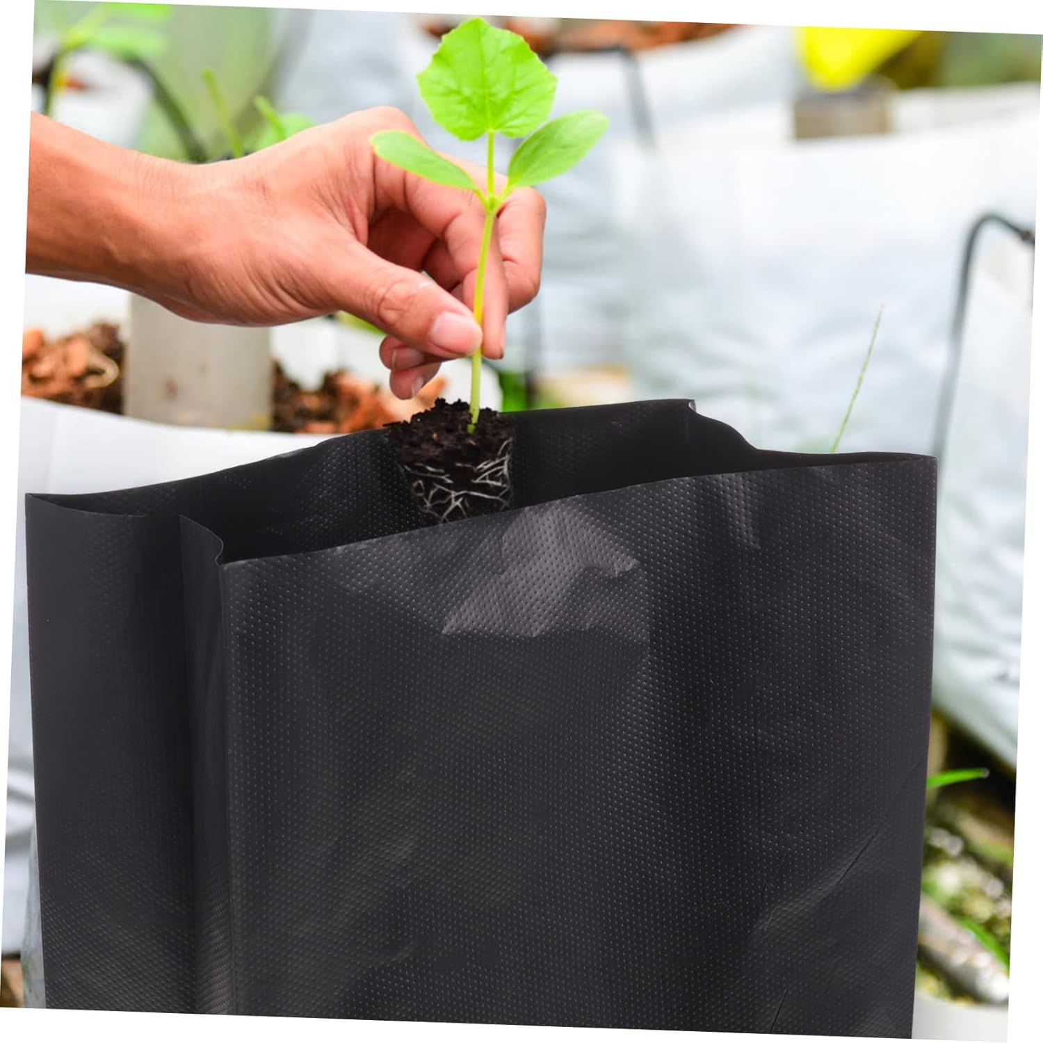 ibasenice 100pcs Thickened Pe Planting Bags for Vegetable and Fruit Trees Pouches for Optimal Root Growth and Water Retention for Bonsai and Garden Use