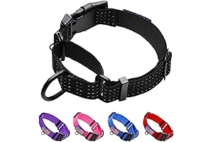 Martingale Collar: Train Your Dog Effectively