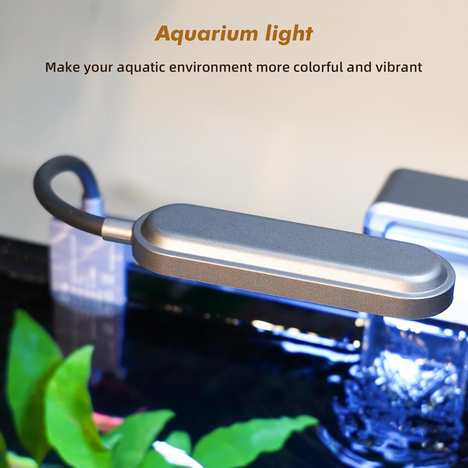 Rise Torrent Glass Fish Tank, 2.8 Gallon Betta Fish Tank Aquarium Starter Kit with Filter and Light, Small Desktop Aquarium Kit for Betta, Goldfish, Small Fish or shrimg