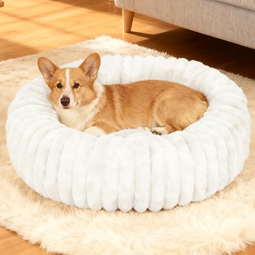 Miniatura 15 de Cama lavable para perros y gatos pequeños, cama redonda calmante y antiansiedad en forma de dona, bonita cama para gatos de interior, camas