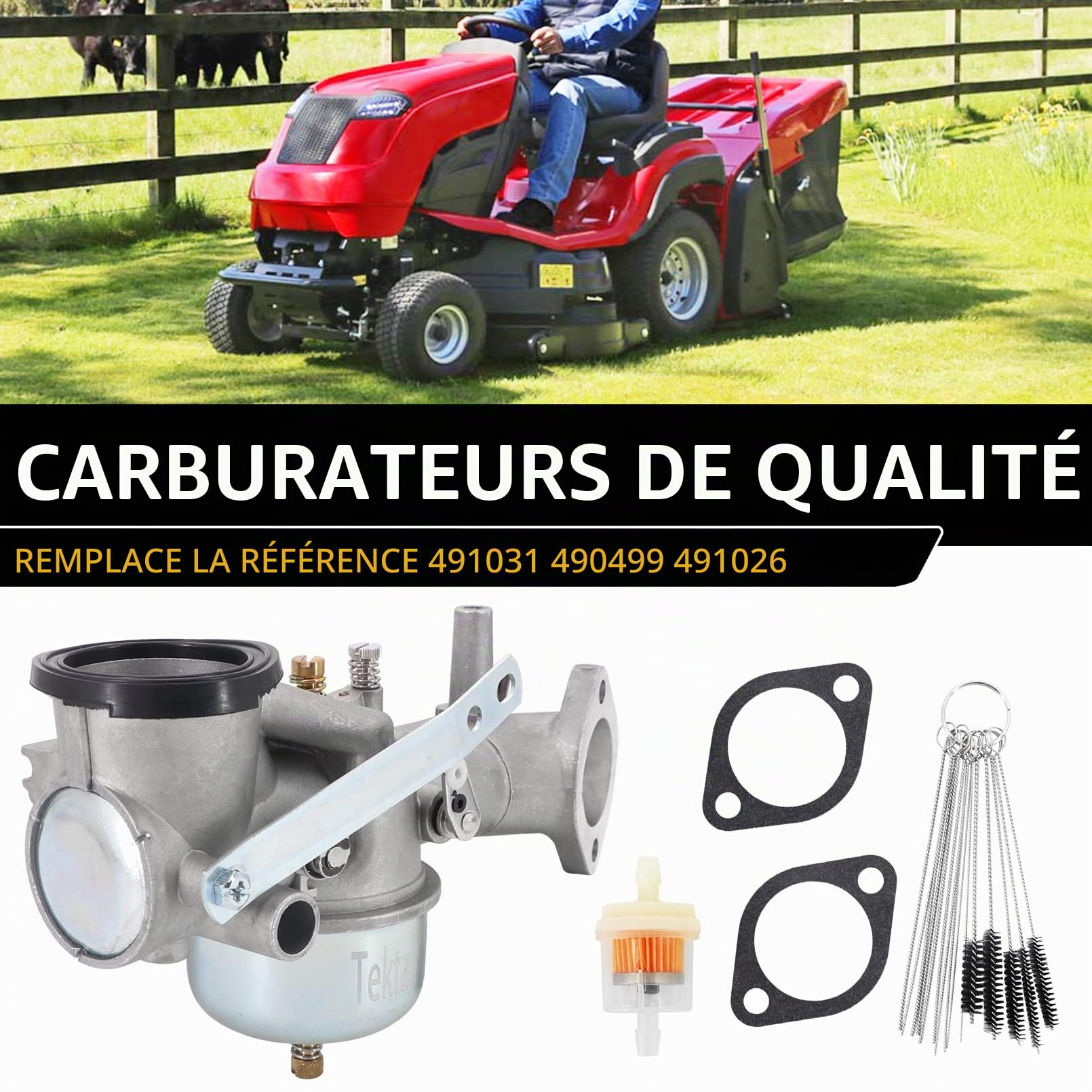 Carburateur avec joint de rechange pour Briggs & Stratton 252702 252707 253702 253706 491590 390811 392152