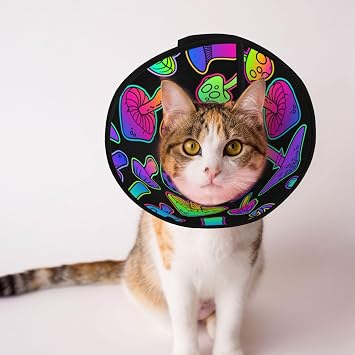 Bright Mushrooms Print Cat Cone Collar Soft, Adjustable Recovery Pet Cone Elizabeth Protective Collar Wound Healing Practical Neck Cover for Cats Puppy Rabbits