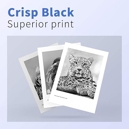 Miniatura 8 de 240XL - Cartucho de tinta negro de repuesto para Canon 240xl 240 PG-240 XL PG240XL para Canon MG3620 Cartuchos de tinta PIXMA MG3600 MG3520 MG3222