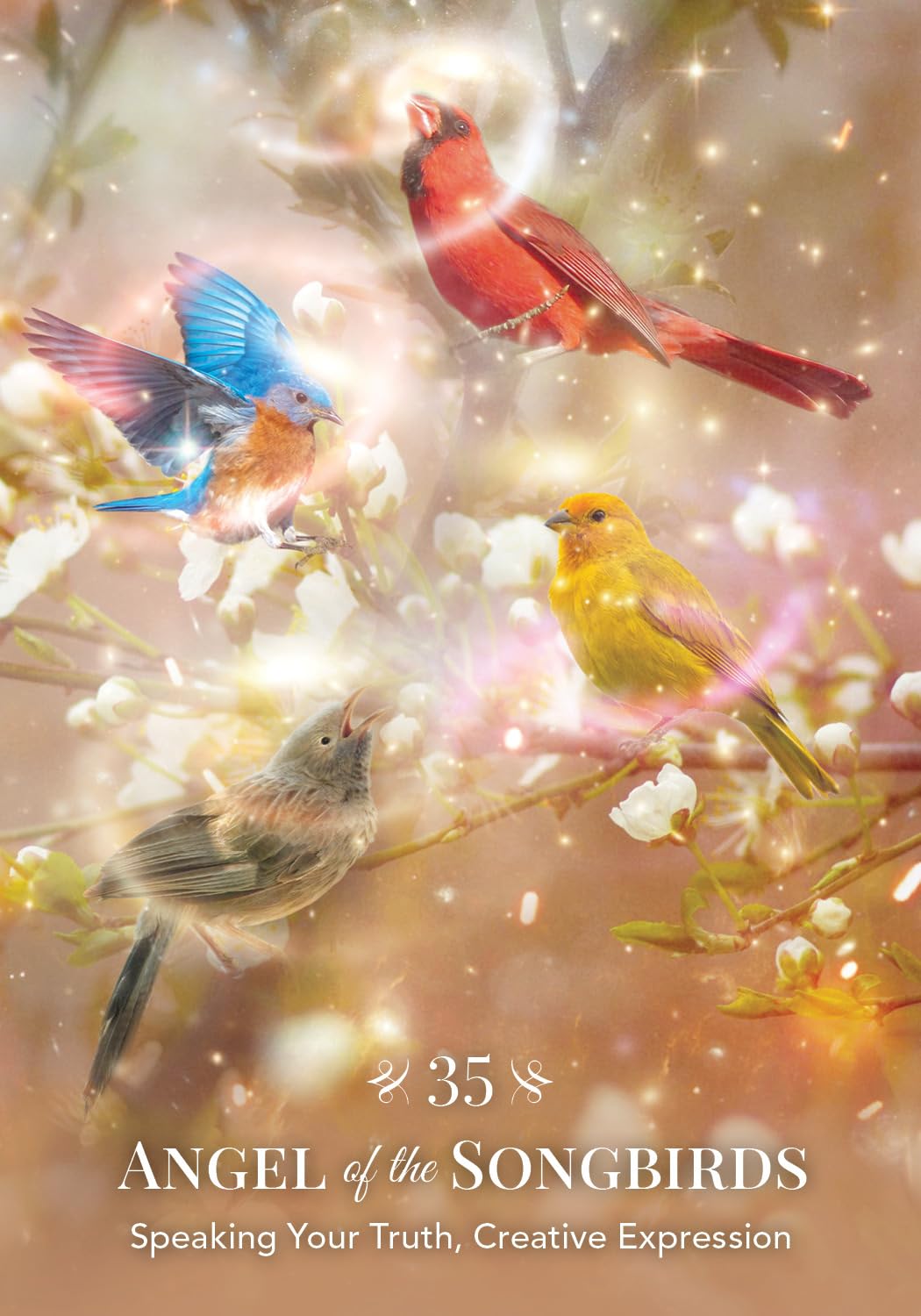 Angels of Nature Oracle: A 44-Card Deck and Guidebook