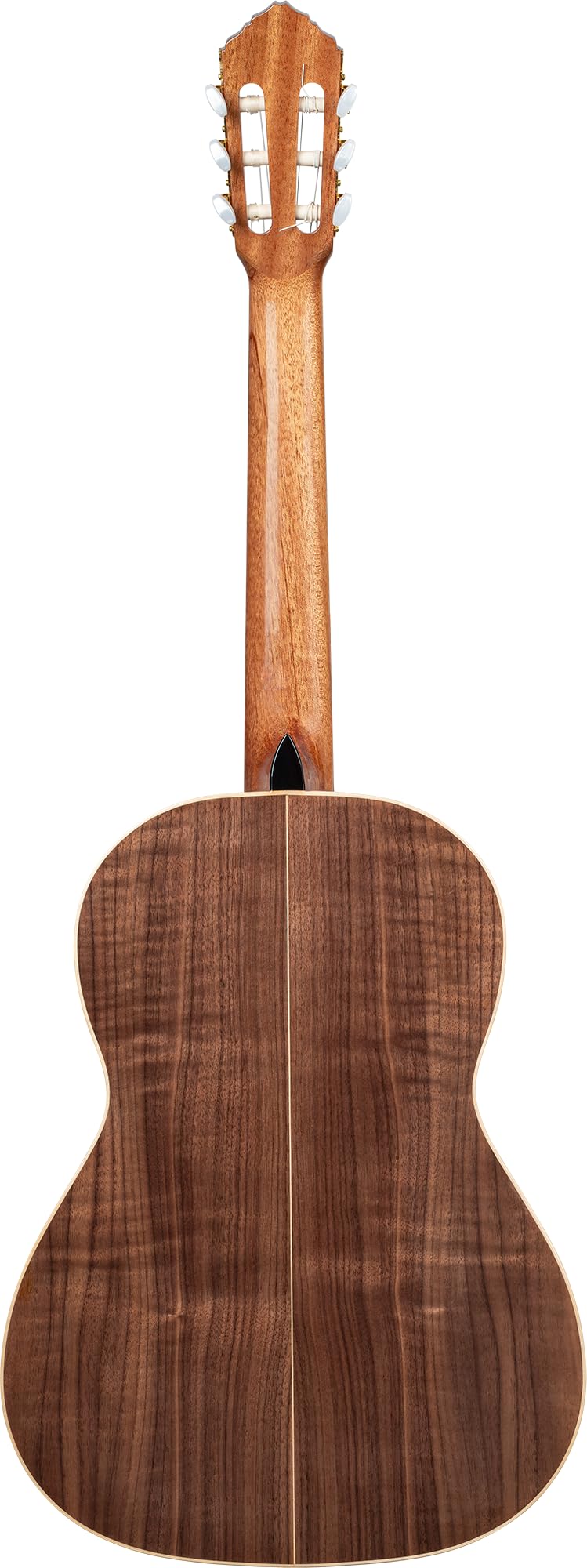 Ortega Traditional Series - Chitarra con corde in nylon, realizzata a mano in Spagna, con manico sottile e custodia professionale (R20GSNWN)