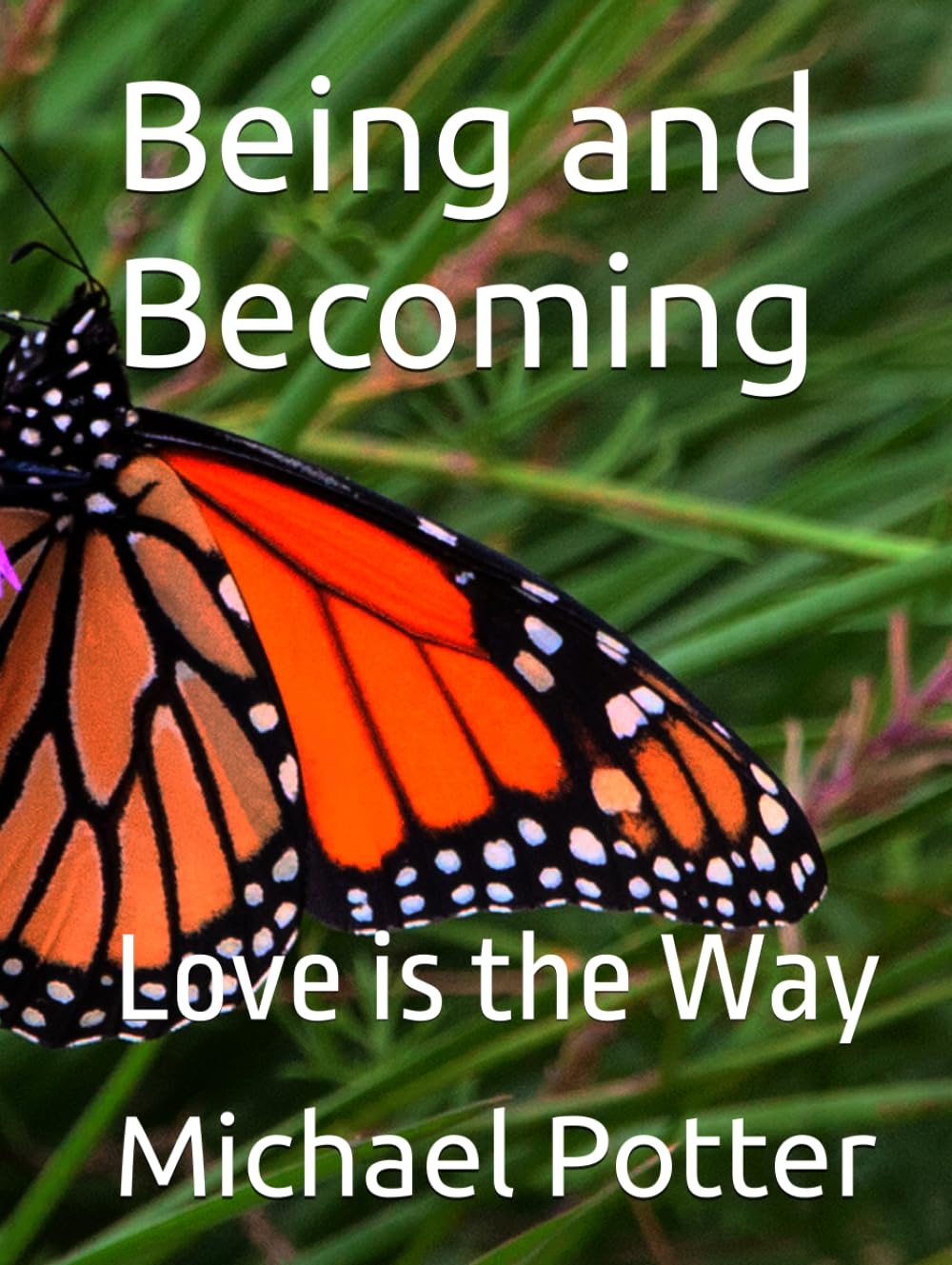 Being and Becoming: Love is the Way