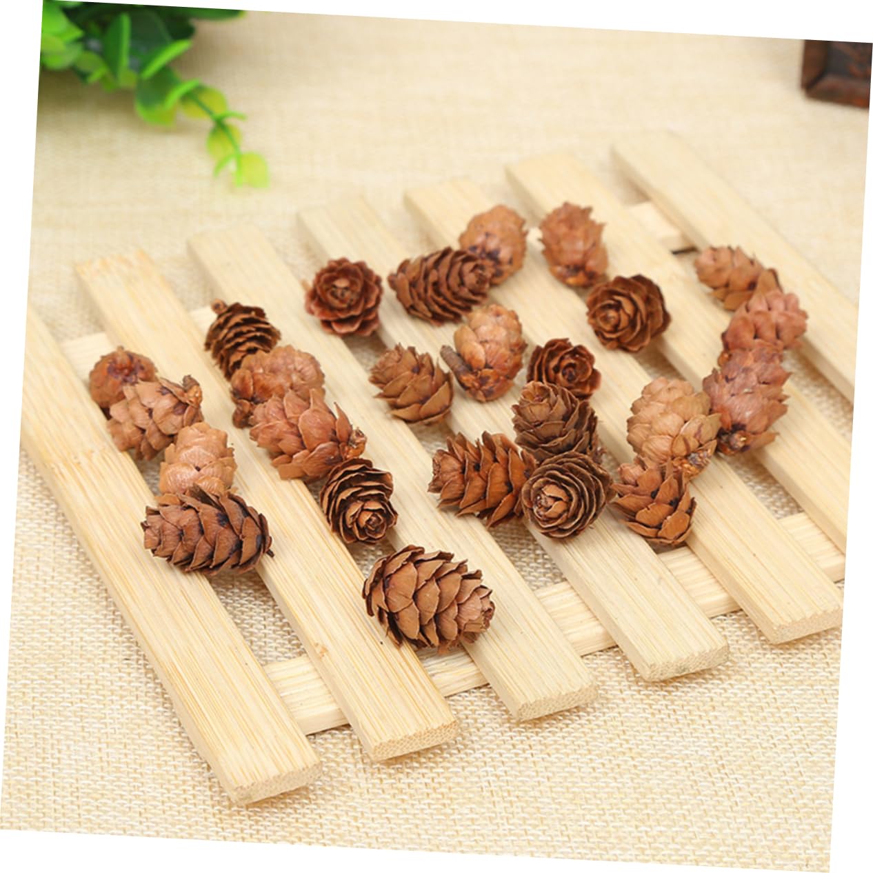 Ciieeo 210 Piezas Piñas Naturales Decoraciones de Piñas Secas Hogar para Acción de Gracias y Navidad Adorno Vegetal