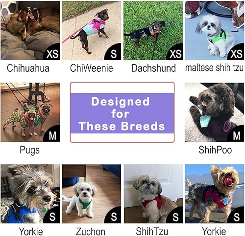 Miniatura 10 de Chaleco de arnés para perros pequeños, de ajuste cómodo, fácil de poner y quitar suave acolchado interior y exterior, asegura que tu perro se sienta