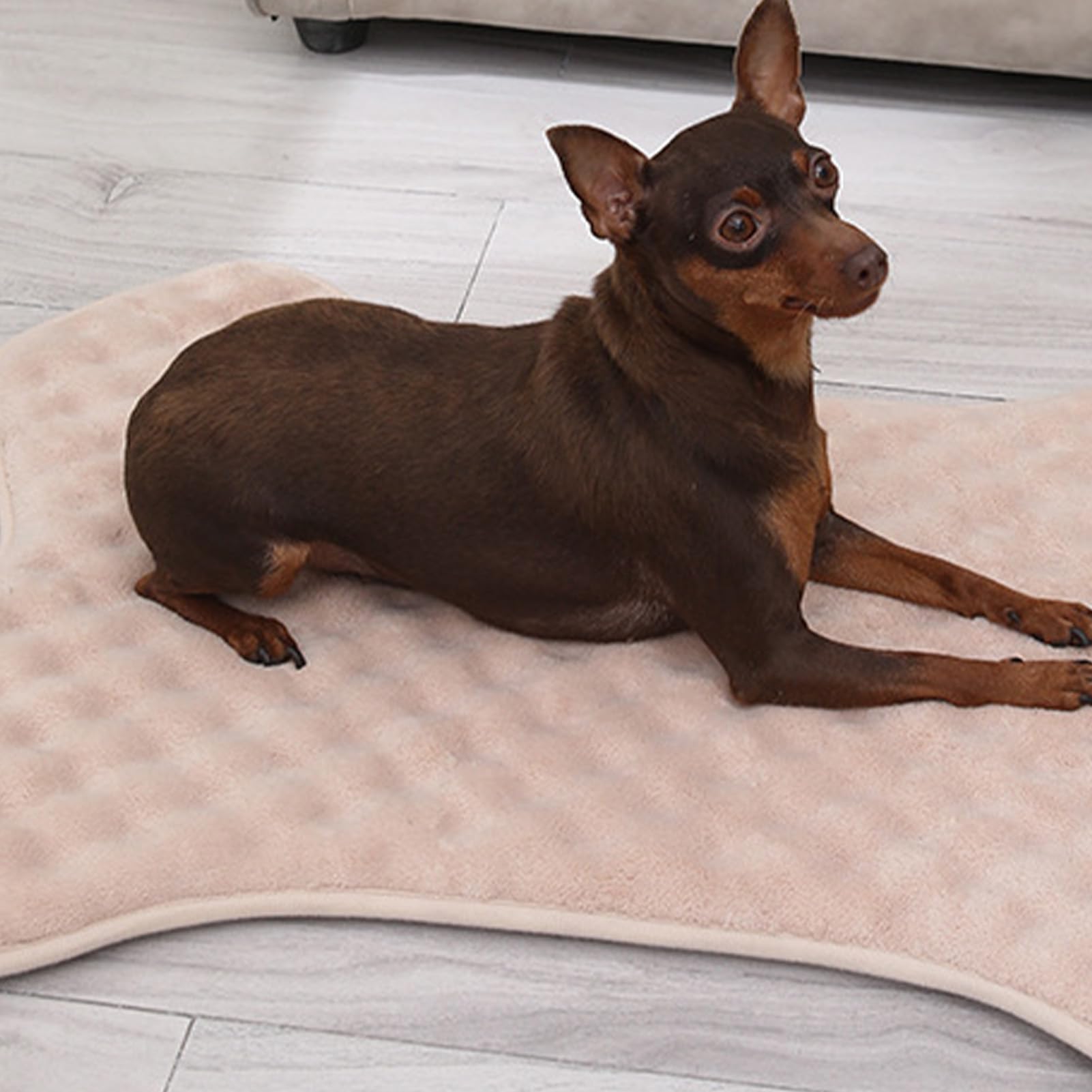 Generisch Caja para Perros, Cama Indestructible para Perros, colchón Lavable a máquina, Forma de Hueso Dulce, sin deslizamientos, Cama para Perros Resistente a Masticar, para cumpleaños