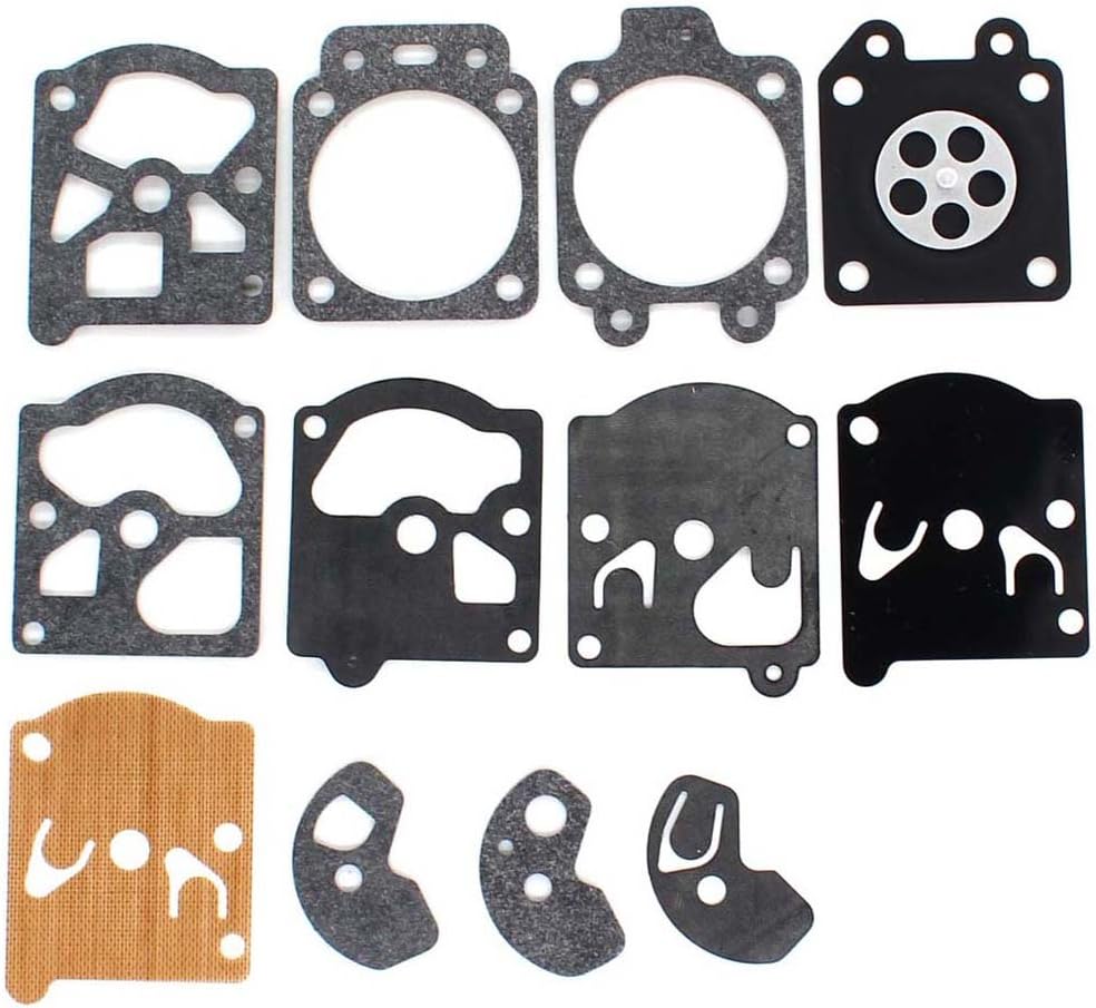Carburetor gaskets and diaphragms from the kit