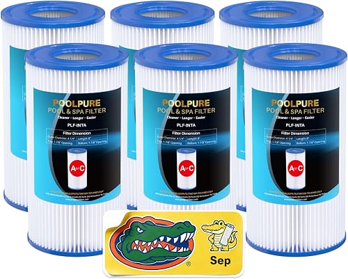 POOLPURE Type A or C/III Pool Filter Replaces Intex 29000E/59900E/#29003E | Compatible with 1000/1500/530 GPH Filter Pump, C-4607, Funcicle, Easy Set, Summer Waves Above Ground Pools, Reusable