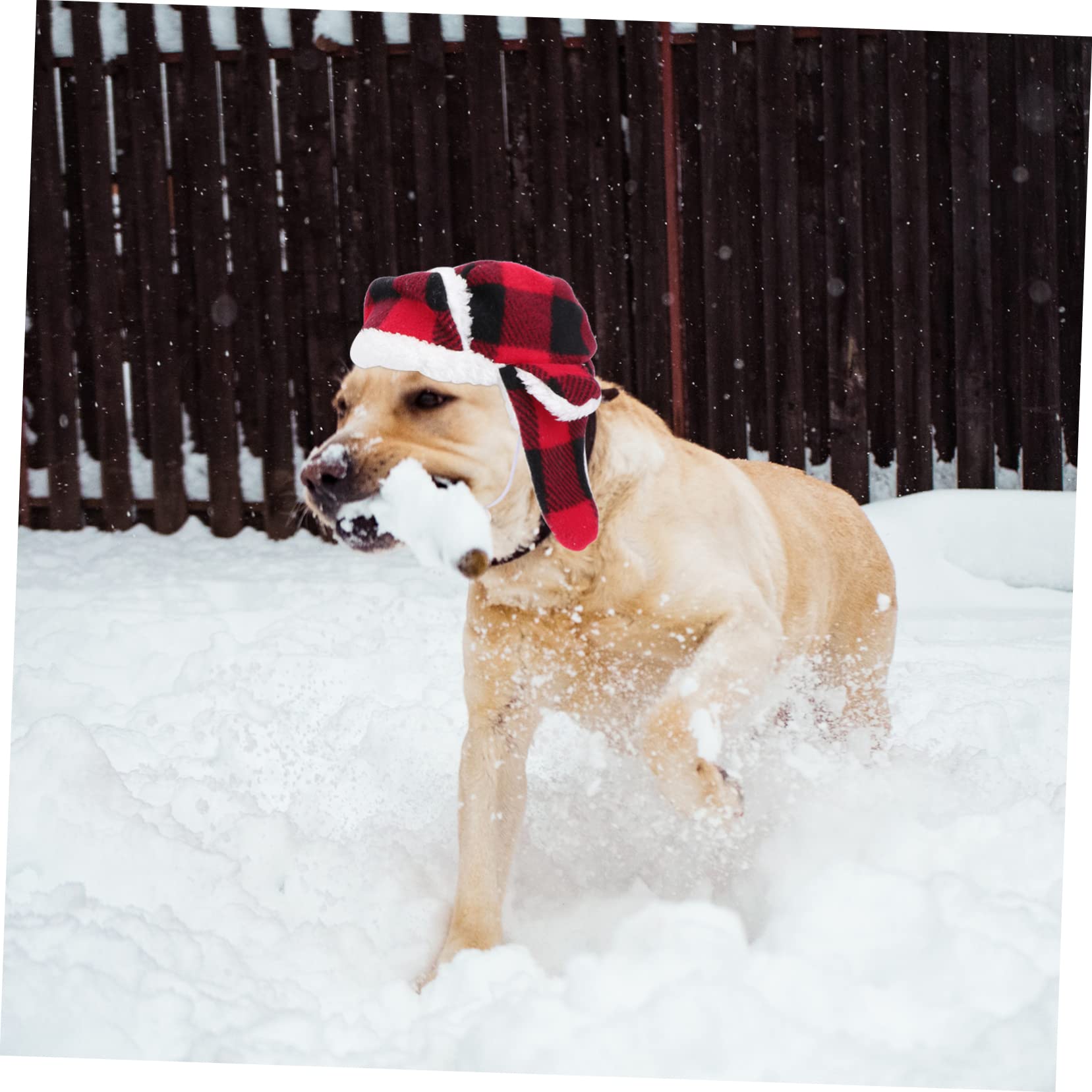 EXAOMBLE 1Pc Adorable Winter Dog Hat Windproof Plush Beret for Breeds Comfortable and Soft Costume Accessory for Pets for Cold Weather Outfits