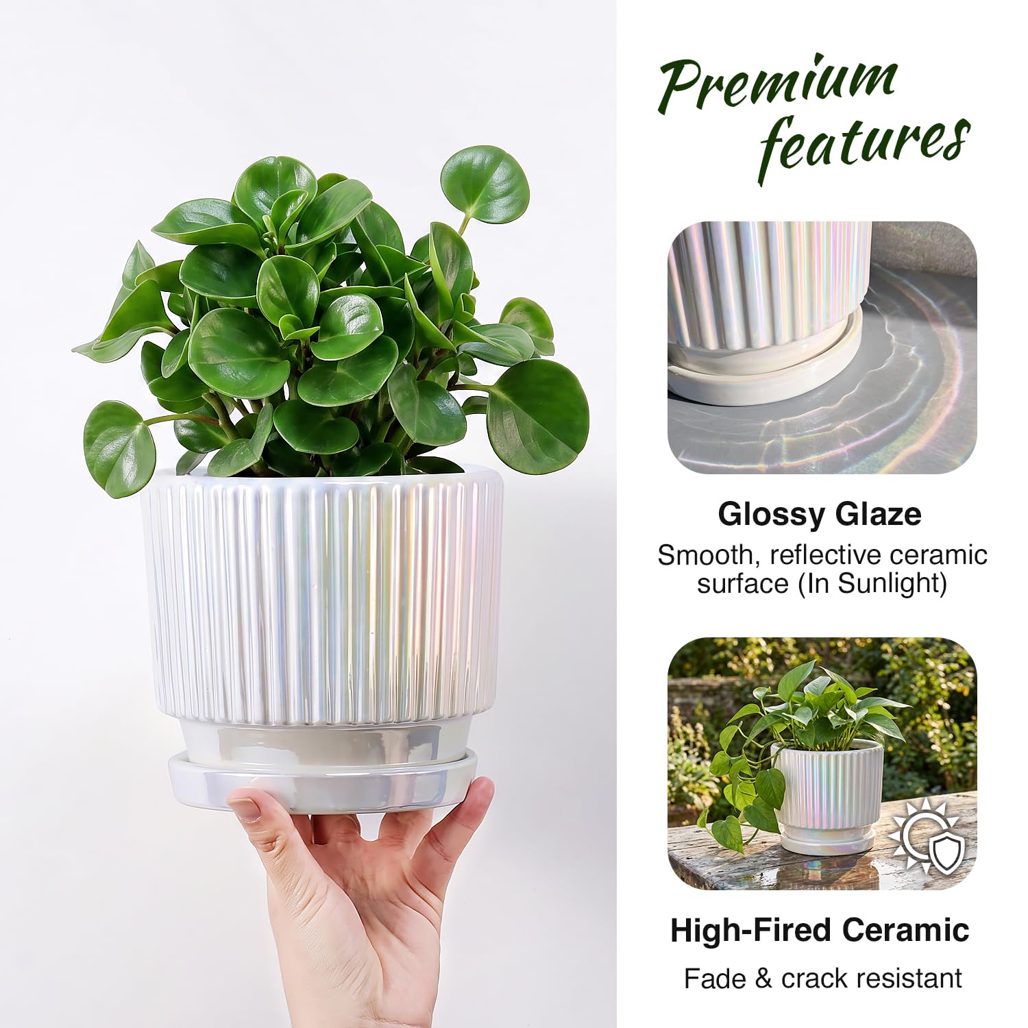 Lot de 2 pots de fleurs en céramique avec trous de drainage et soucoupe