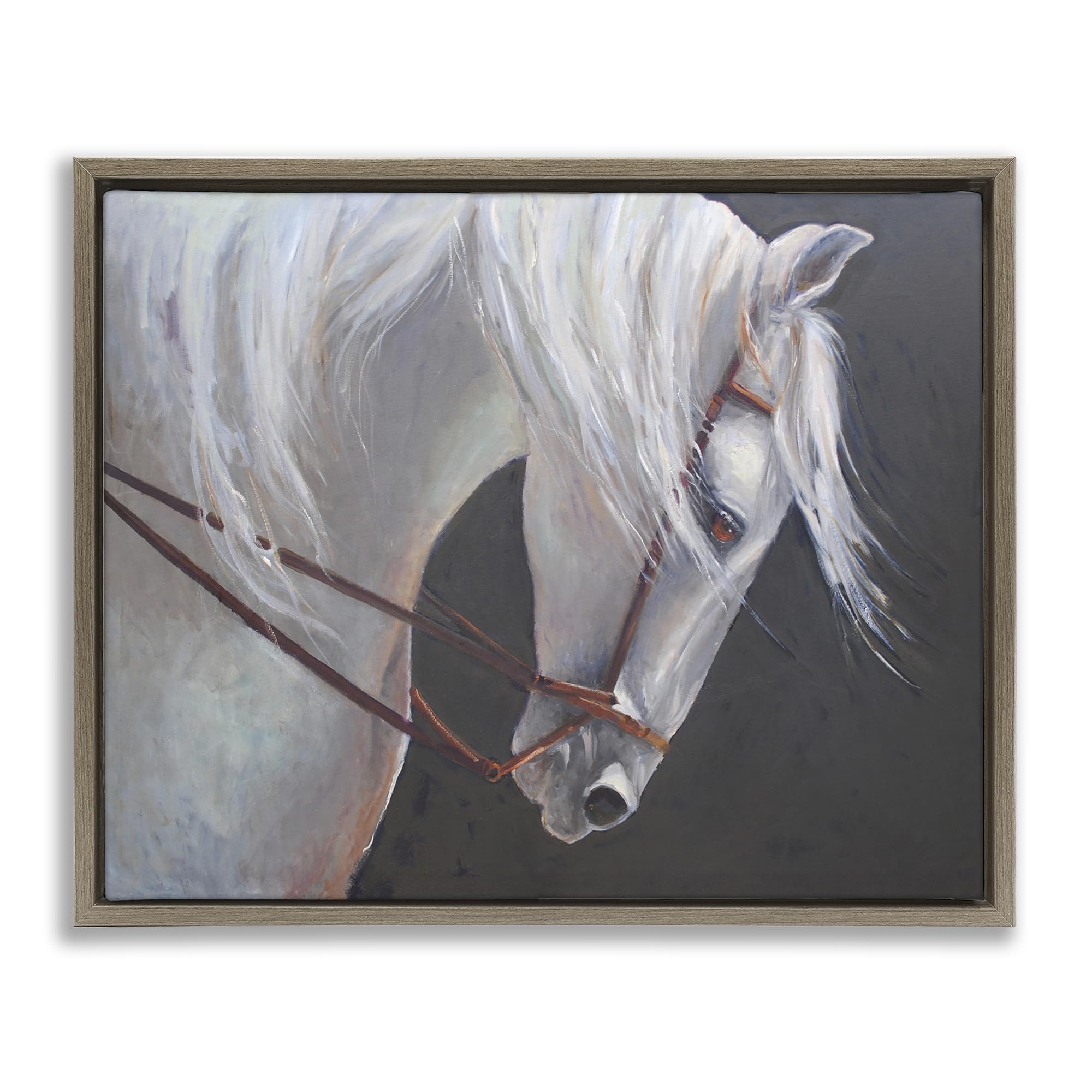 Stupell Industries Majestic White Horse Portrait 'Majestic White Mare', Floating Frame Canvas Art, Brown, 21 X 17 Inches, Easy To Hang And Sturdy, Made In Usa, By Jadei Graphics
