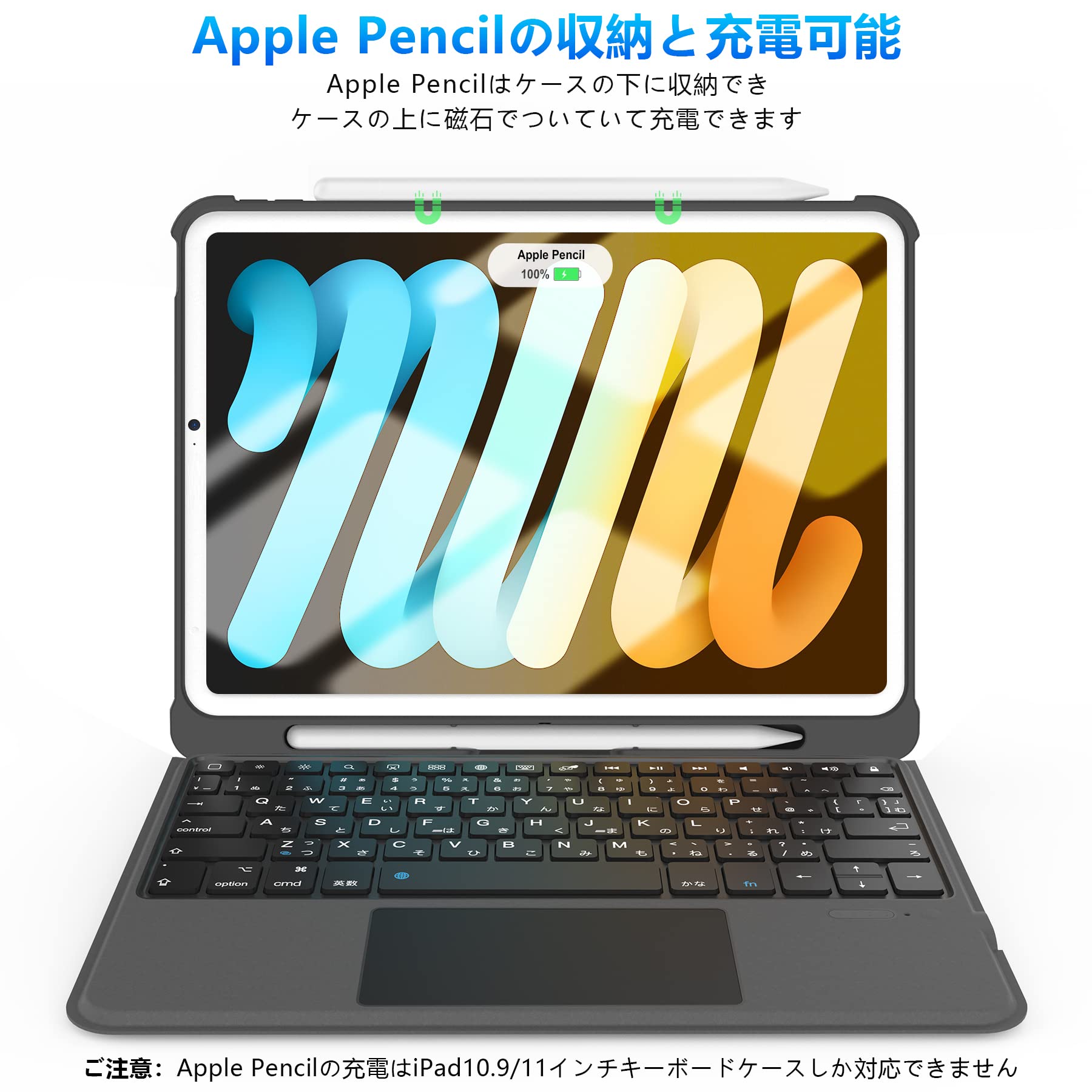 説明文は必ず読んでください。iPad Air2 iPad完全マニュアル2025（iPadOS 18対応／全機種対応／基本操作から