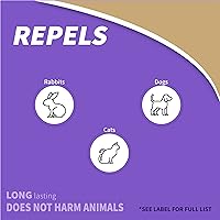 Vista 3 de Bonide ¡Vete! Gránulos repelentes de conejos, perros y gatos, 1 libra listos para usar, mantiene a los perros alejados del césped, jardín, mantillo