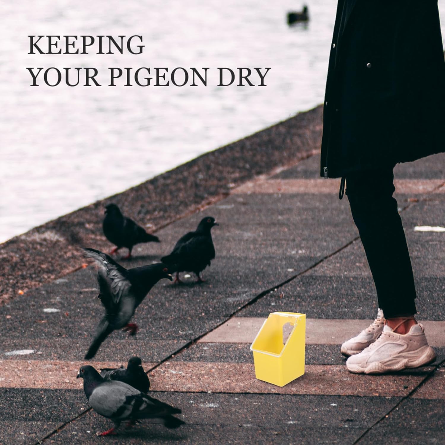 4pcs Pigeon Cage Hanging Feeder Multi-Function Feeding and Watering Boxes with Lid, Plastic Poultry Feeder Bowls for Bird Cages, Suitable for Pigeons and Small Birds
