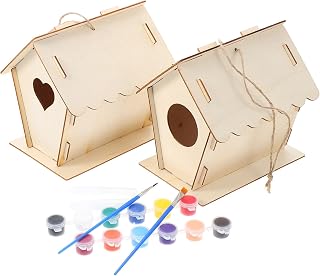 FUNOMOCYA 2 Sets DIY Wooden Bird House Kits for Paints Pens Glue and Hanging Rope Easy Assemble Craft Painting for Creative Hand-Eye Coordination and Outdoor Decoration