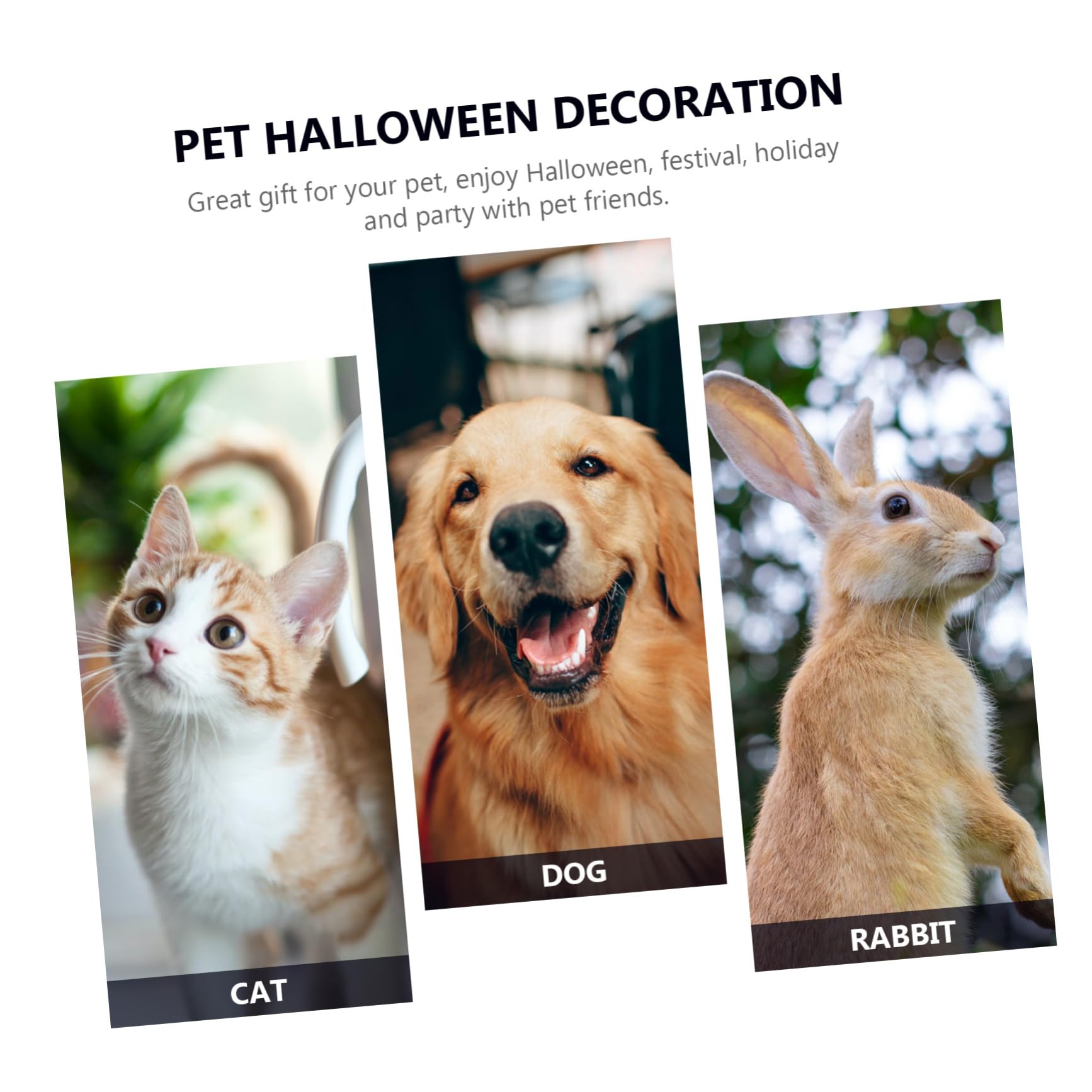 Sosoport 2pezzi Cloak Per Animali Domestici Nero Costume Da Strega Per Halloween Accessorio Decorativo Per Cani e Gatti Per Feste e Servizi Fotografici