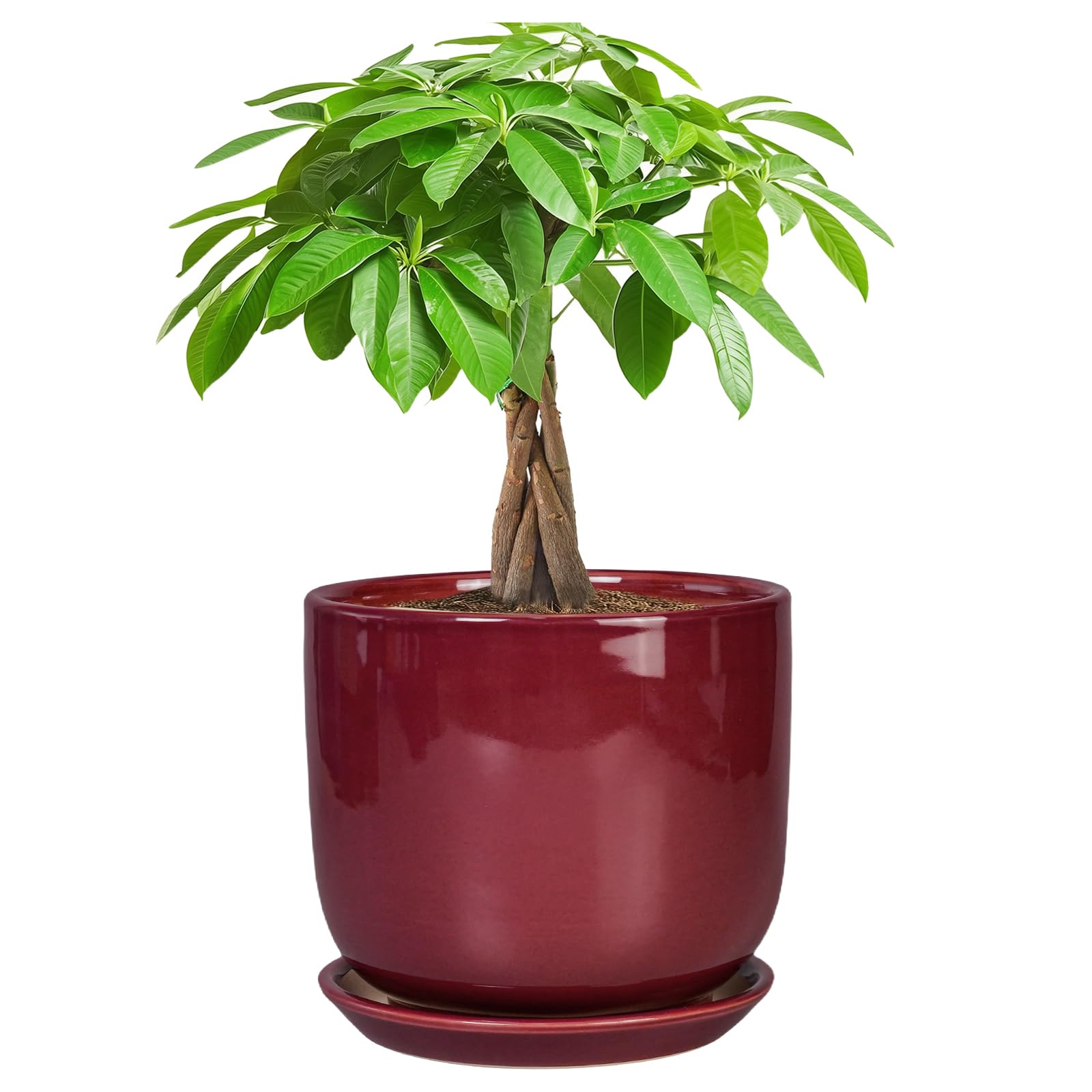 SUNPOTFOR Ceramic Planter - 7 Inch