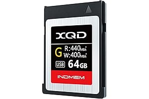 XQD Memory Card: Capture Sharp Shots at Blazing Speeds