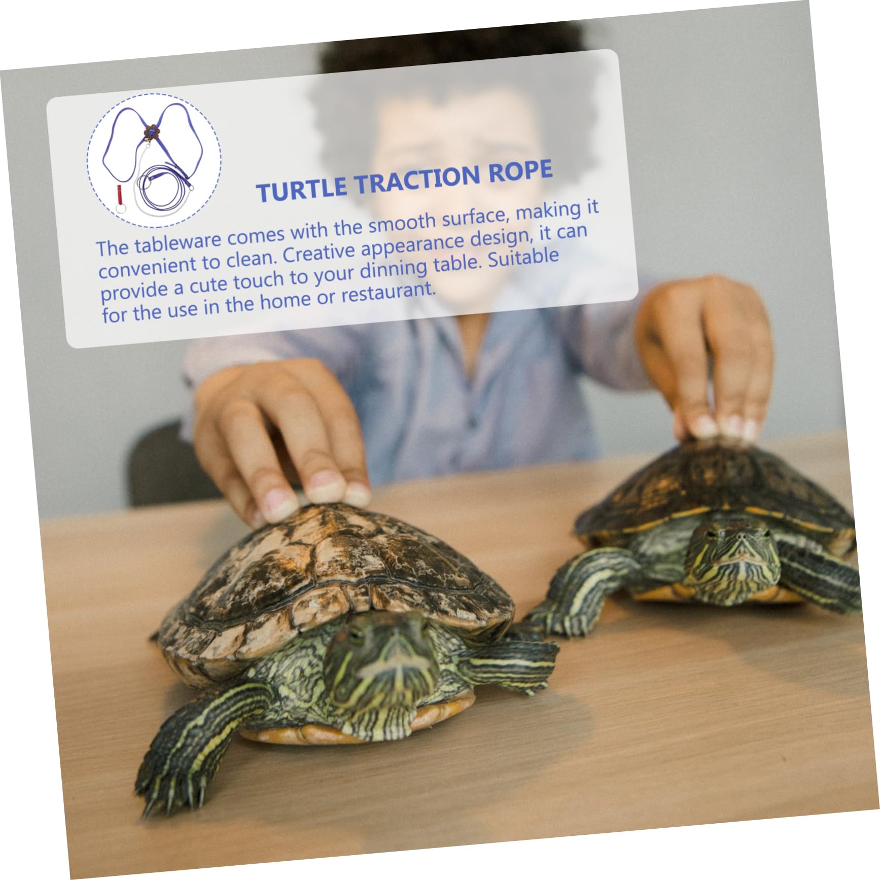 Yardwe Turtle Animal Leash Pet Pulling Rope Tortoise Pet Hauling Rope Adjustable Harness Vest for Home Outdoor Activities Random Color