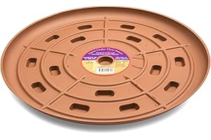 Down Under Plant Caddie Saucer: The Ultimate Solution for Healthy Plants