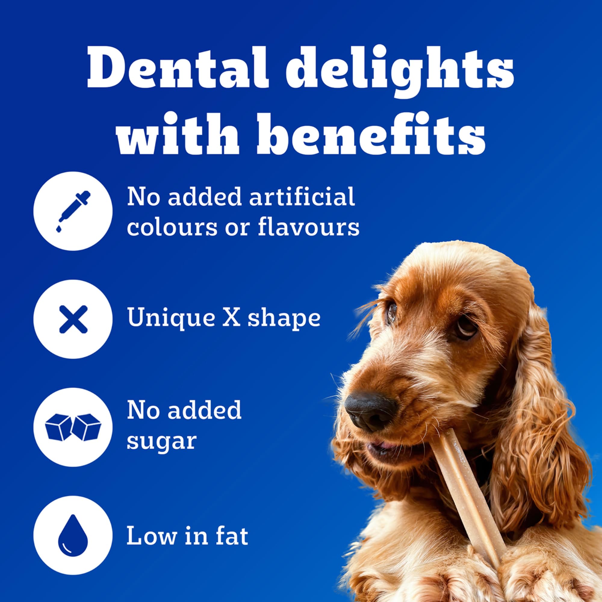 Pedigree Dentastix Oral Care Dog Treat, Adult Medium Breed (10-25 kg), 720 g, Recommended by Vets, Supports Gum Health, Reduces Risk of Gum diseases 3