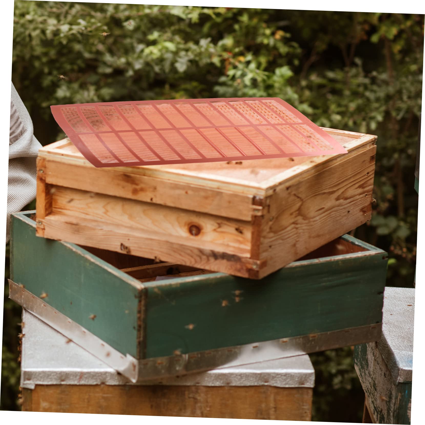 Amazon.co.jp: YARDWE 2個 プラスチック フェンス 蜂の巣 獲得 ボード  