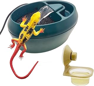 Reptile Chameleon Tavern Waterer with Pump to simulate Outdoor Live Water Waterfall with Suspended Feeding Basin, Suitable for Amphibians, Lizards, Turtles, Snakes, Spiders, Frogs, Geckos