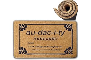 Funniest Doormat Ever: The Audacity Door Mat