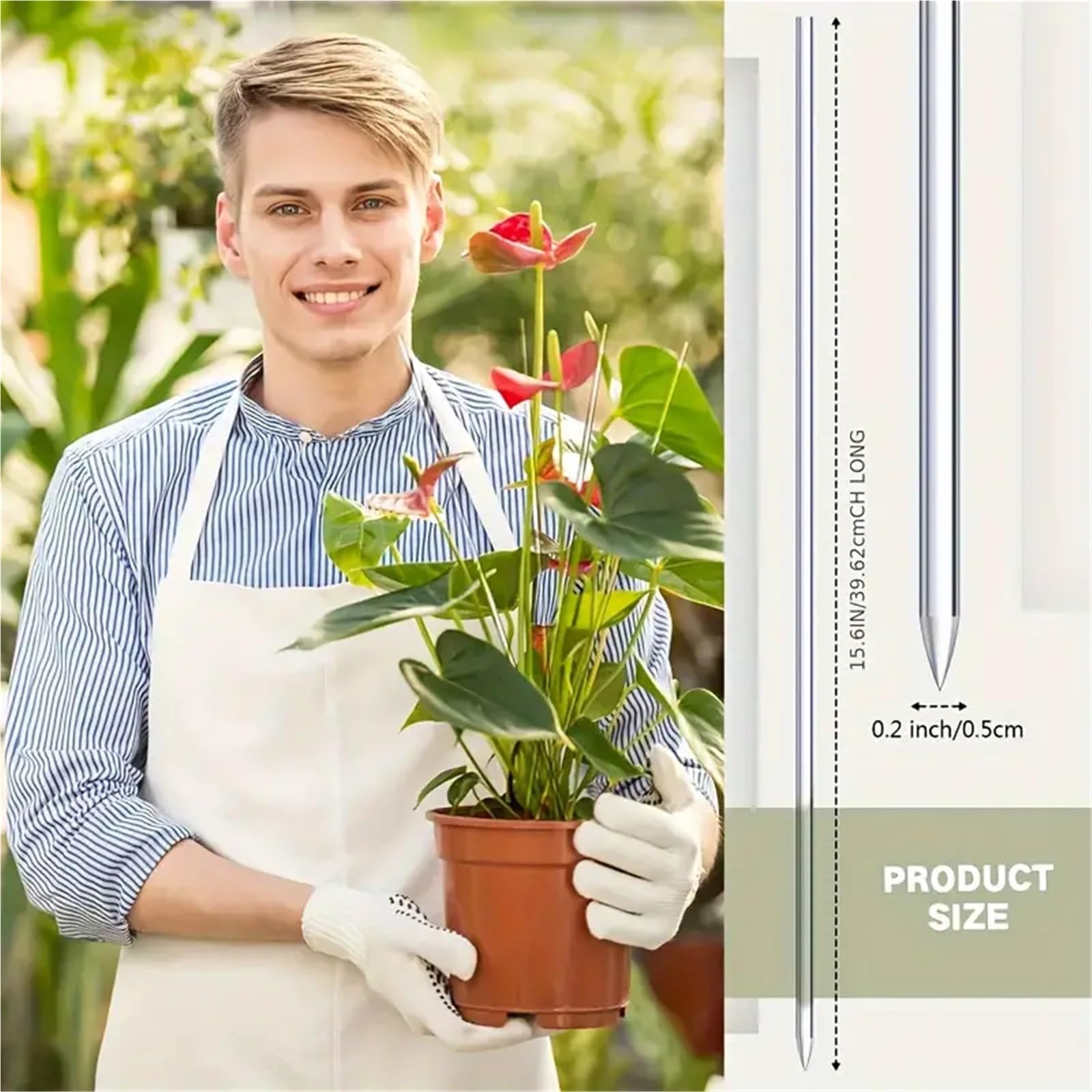 Tuteur Plante 8/15 Tuteurs Transparents de 15,6 Pouces for orchidées Jardin(15pcs)