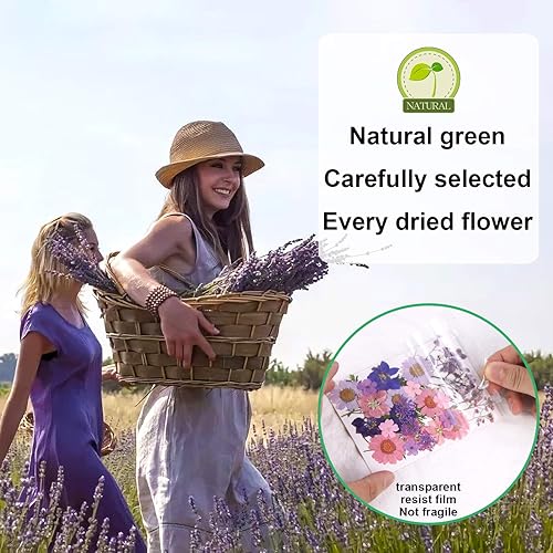 Vista 30 de Augshy 141 flores secas prensadas para resina, flores secas naturales reales prensadas para manualidades, moldes de resina, álbumes de recortes, 5