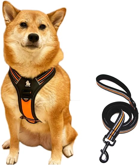 Amazon Cane Famiglia カーネファミリア 犬用ハーネス オレンジ Xl ドッグ ペット用品 3m反射材料 おしゃれ 柴犬 中型犬 大型犬 ラブラドール 調節可能 かっこいい Cane Famiglia ハーネス 通販